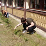 OLYMPUS DIGITAL CAMERA