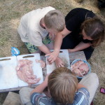 OLYMPUS DIGITAL CAMERA