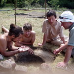 OLYMPUS DIGITAL CAMERA