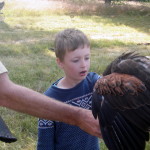 OLYMPUS DIGITAL CAMERA